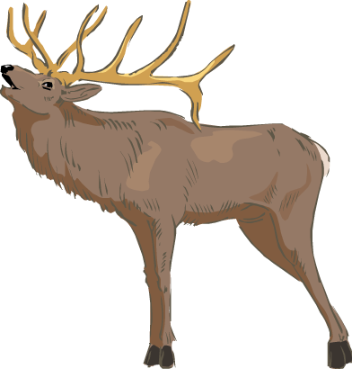 Collection of Elk clipart | Free download best Elk clipart on ...