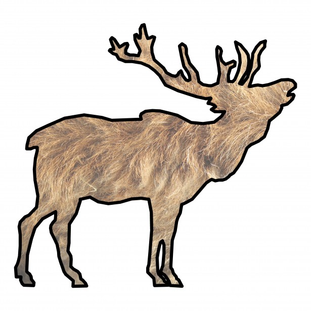 615x615 Elk Drawing Free Stock Photo