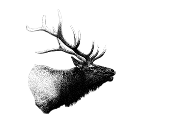 354x236 Mike Mitten, Sitka Athlete, One With The Wilderness