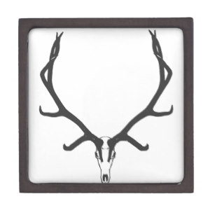 307x307 Bull Elk Skulls Gifts On Zazzle Au