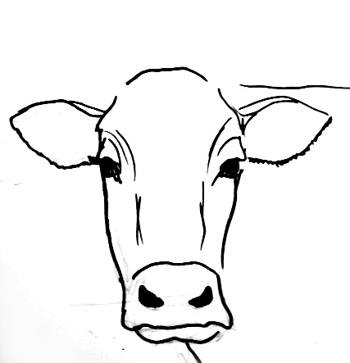 350x363 How To Draw A Bull Head