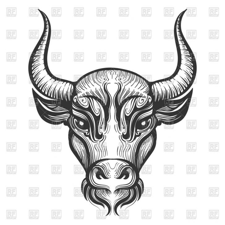 728x728 Bull Ant Drawing Geometric Artistic A Face Cute Sitting 's Book