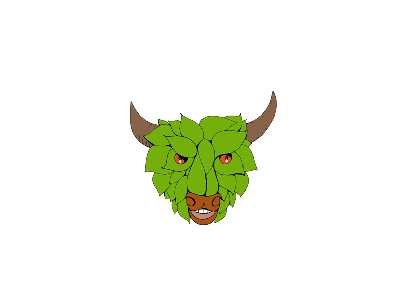 800x600 Green Bull Head Drawing