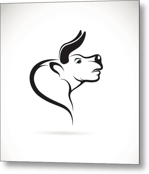 515x600 Vector Image Of An Bull Head On A White Background Drawing