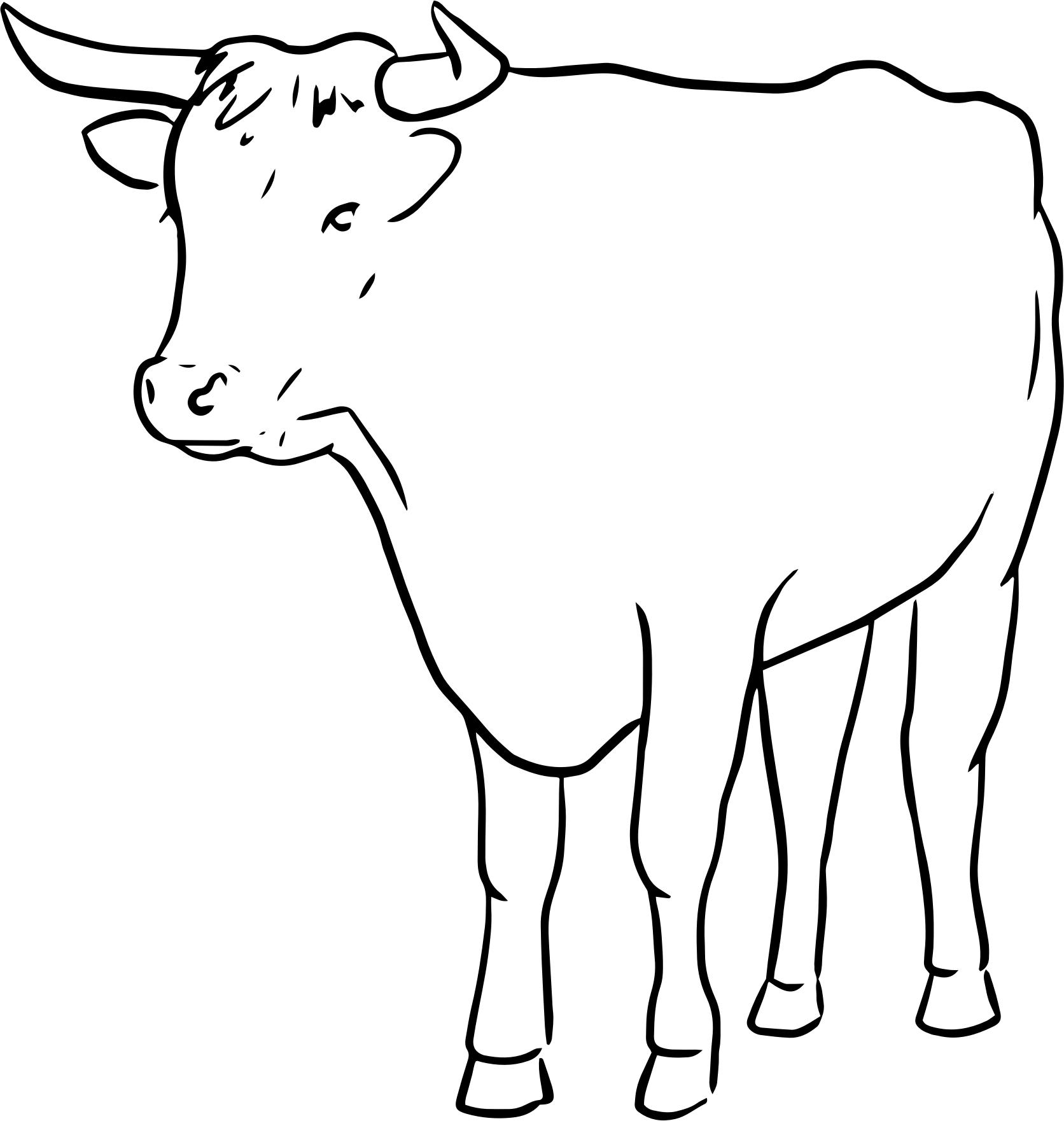 1672x1761 Bull Line Drawing Icons Png