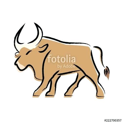 500x500 How To Draw A Bull