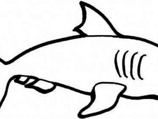 640x480 Clipart Wallpaper Blink