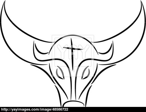 512x395 Bull Draw Illustration Vector