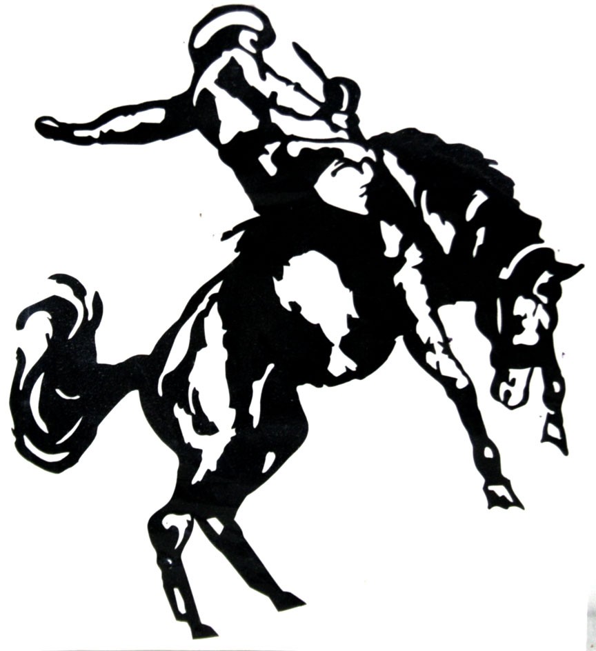 Bull Riding Drawing