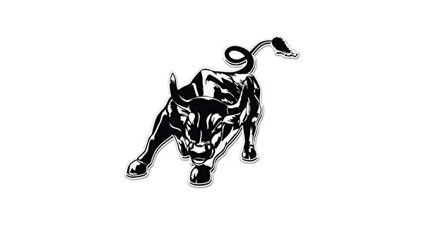 600x350 Bull Rider Rodeo Vinyl Sticker