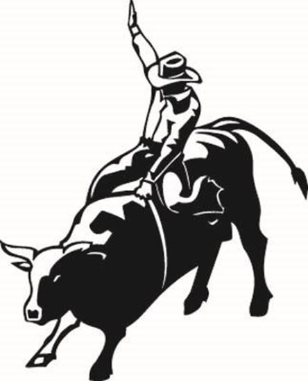 444x550 Wild Horse Wallz Bull Rider