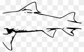 320x199 Bull Shark Clipart Sea Clipart