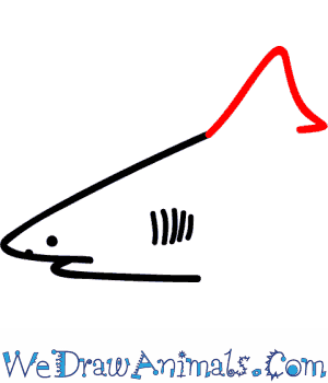 300x350 How To Draw A Bull Shark