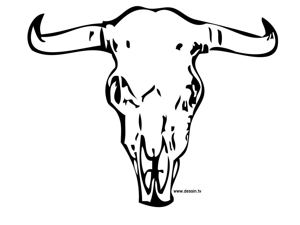 1024x768 Cattle Skull Drawing