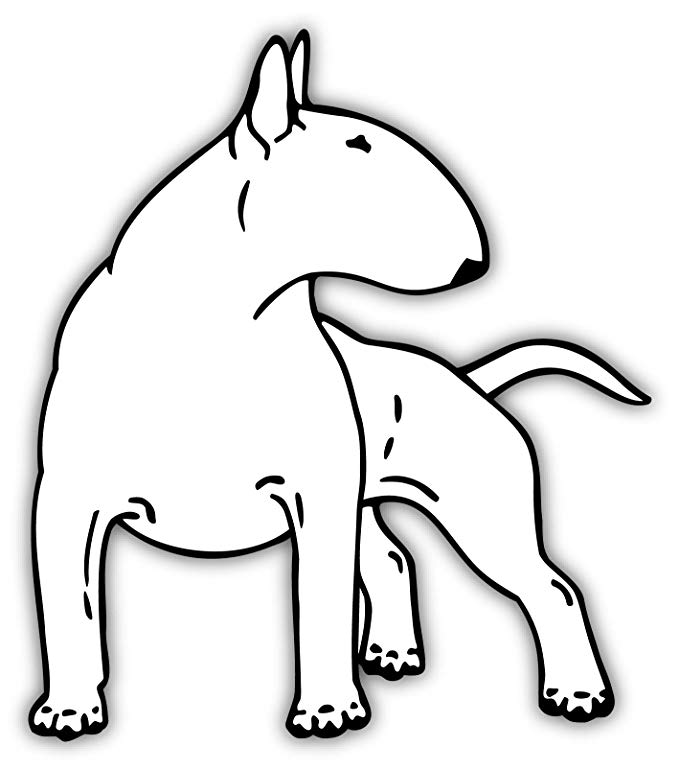 Bull Terrier Drawing