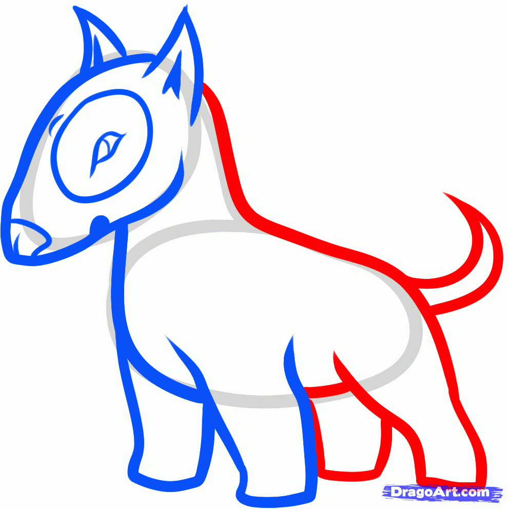 990x991 How To Draw A Bull Terrier, Step