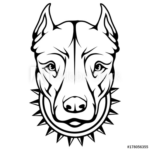 500x500 Pit Bull Terrier Icon