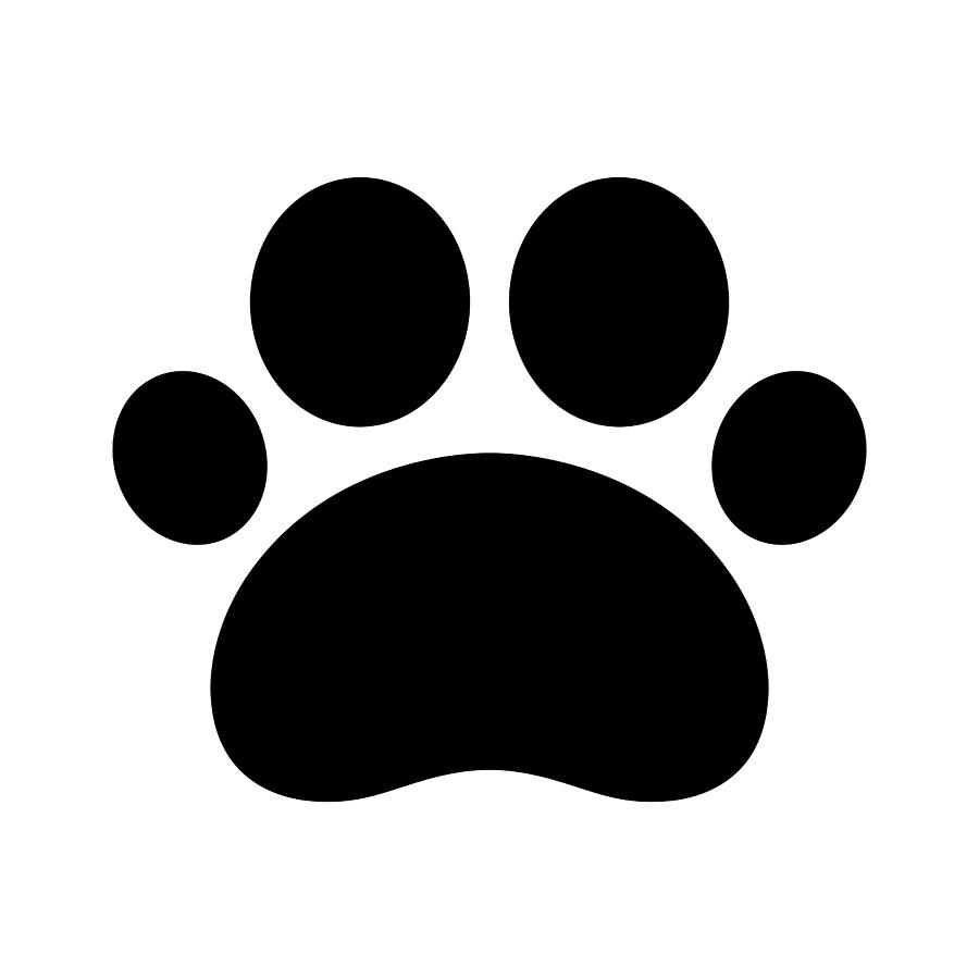 900x900 Drawing Trail Paws Vector Illustration Dog Cat Icon Logo Clipart