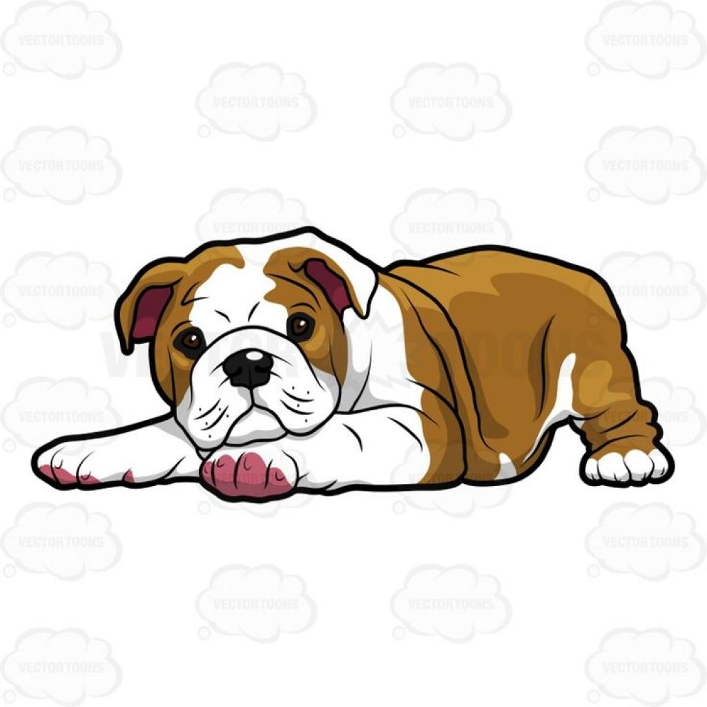 1024x1024 Pictures Of Cartoon Bulldogs Monkey Clipart House Clipart Online
