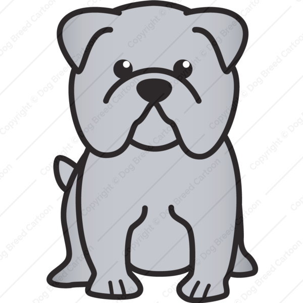600x600 Bulldog, Drawing, Sketch, Transparent Png Image Clipart Free