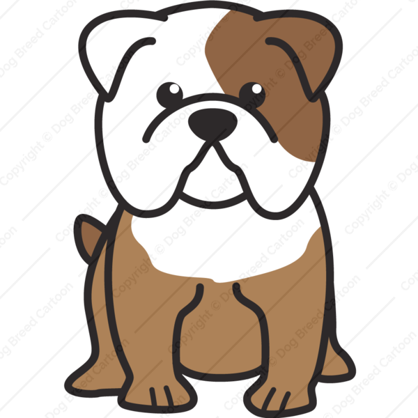 600x600 Bulldog, Puppy, Drawing, Transparent Png Image Clipart Free Download