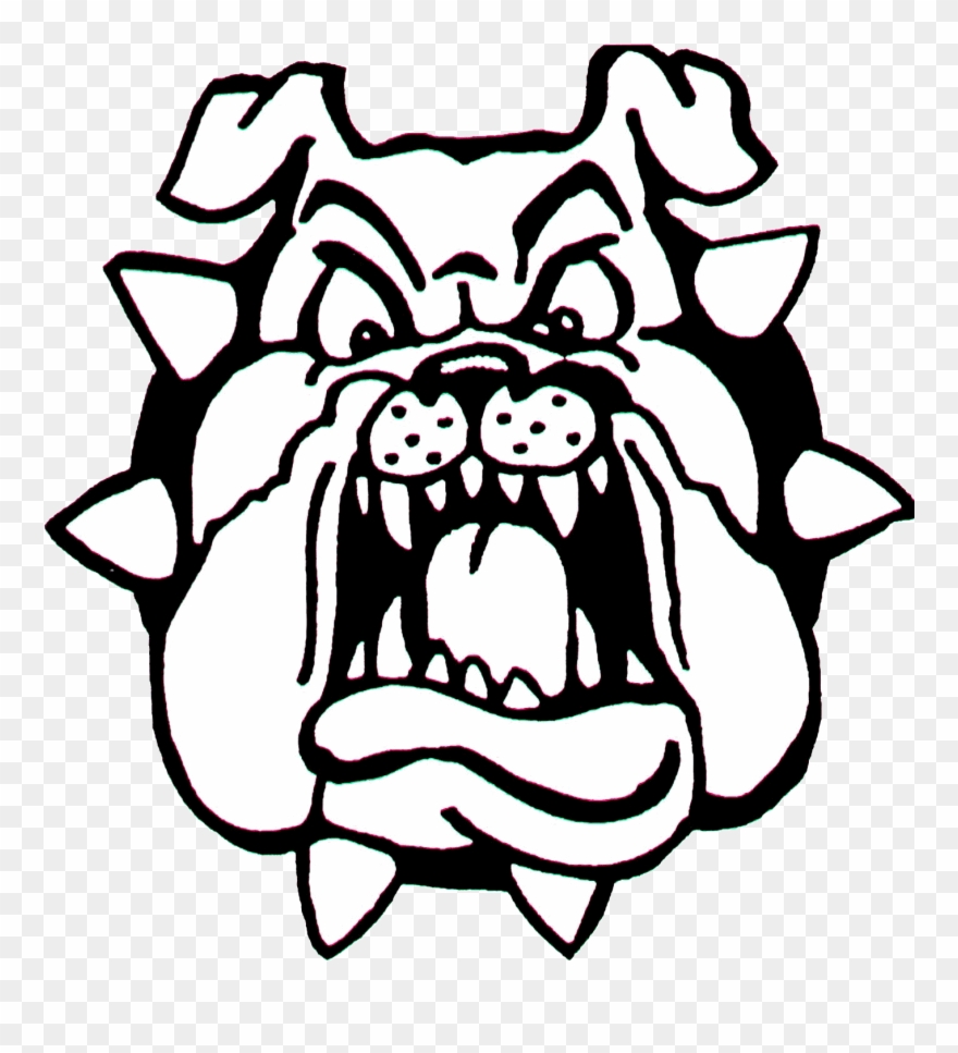 880x967 bulldog face clip art dromggb top