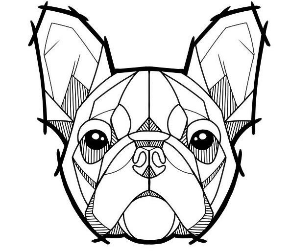592x515 Collection Of Free Bulldog Drawing Basic Download On Ui Ex