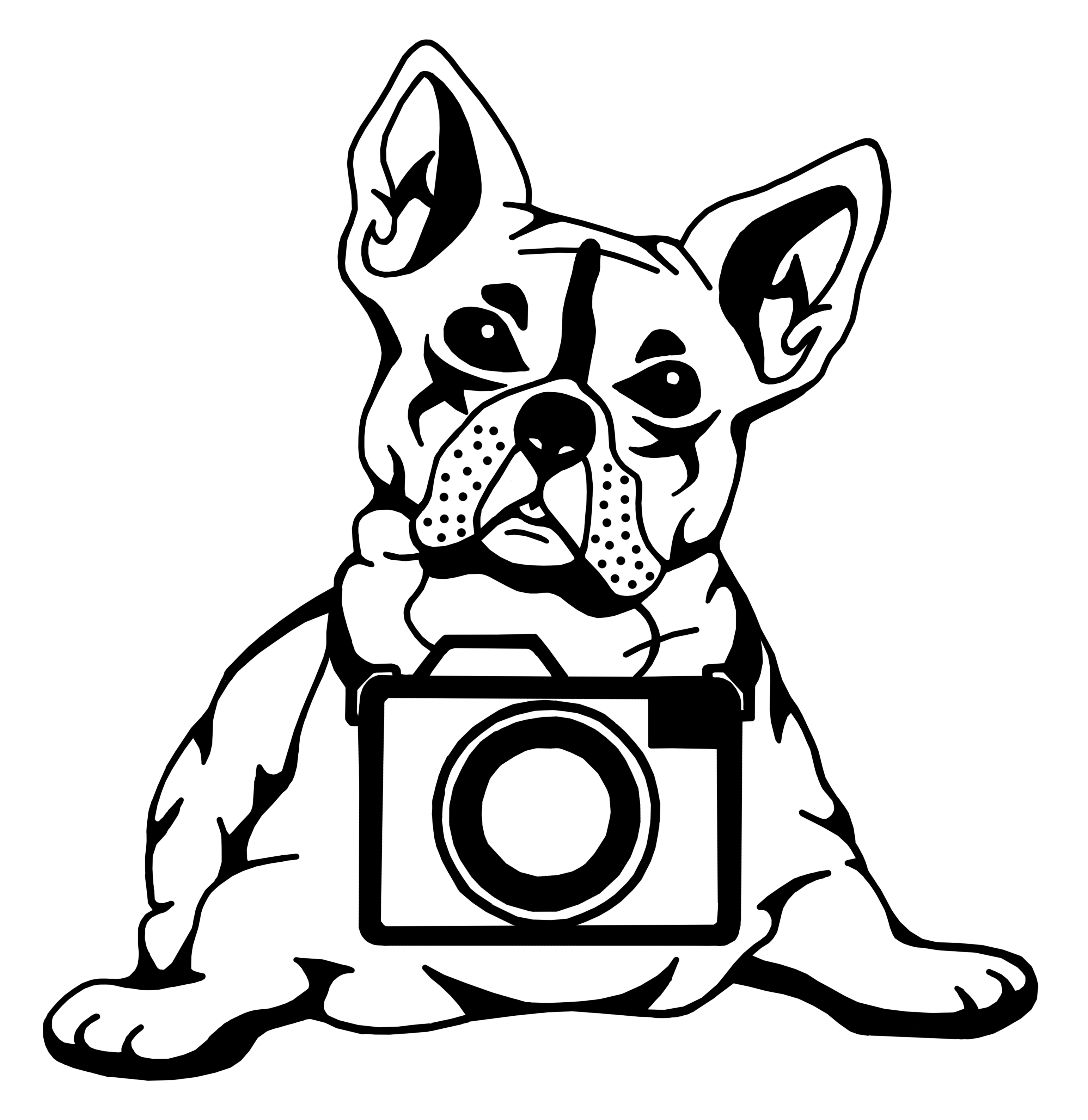 3086x3178 Collection Of Free Bulldog Drawing Nose Download On Ui Ex