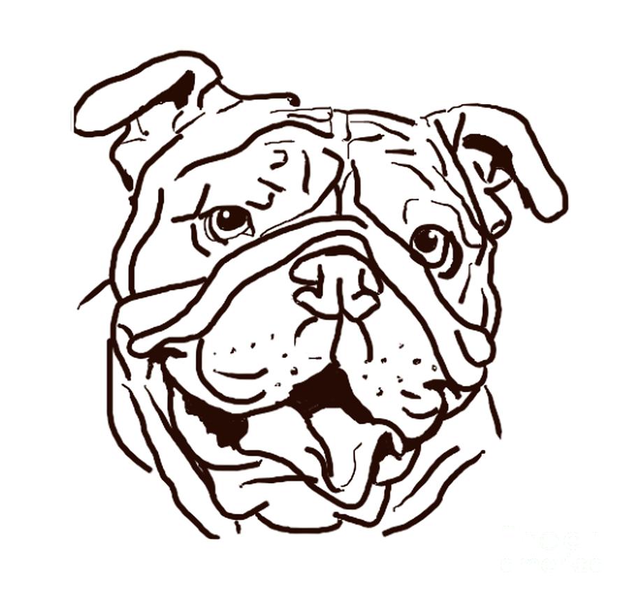 900x854 The Bulldog Love Of My Life Drawing