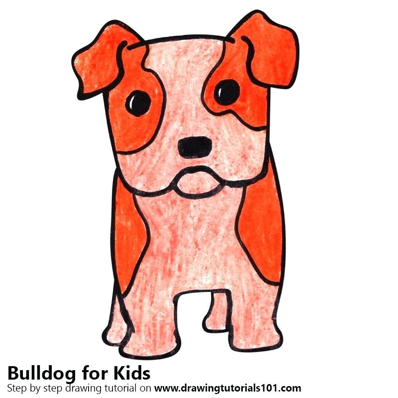 800x800 Bull Dog Drawing French Bulldog Face Drawing