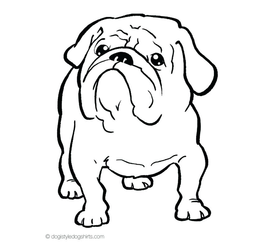 865x800 Bulldog Coloring Pages