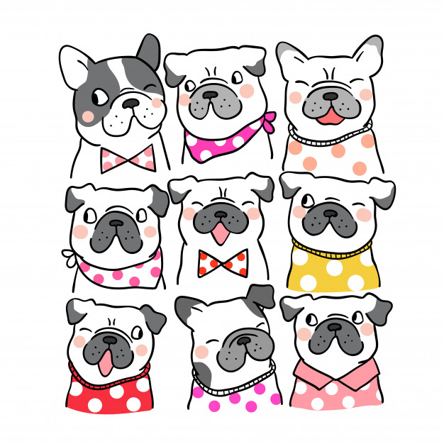626x626 Draw Portrait Cute Pug And French Bulldog Doodle Style Vector