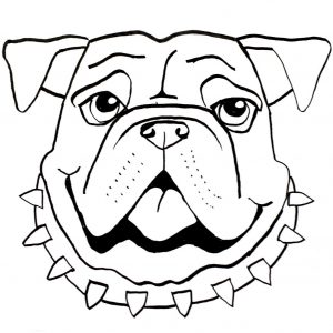 300x300 Bulldog Drawing Cute Archives
