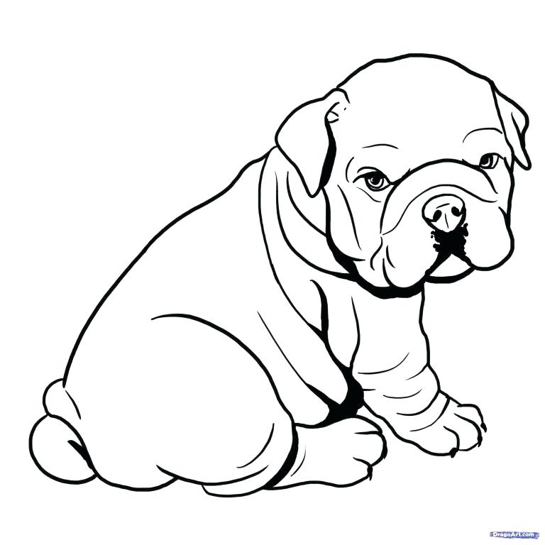 Bulldog Drawing Easy | Free download on ClipArtMag