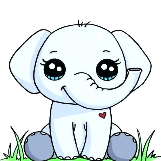 564x564 Animal Drawings Easy