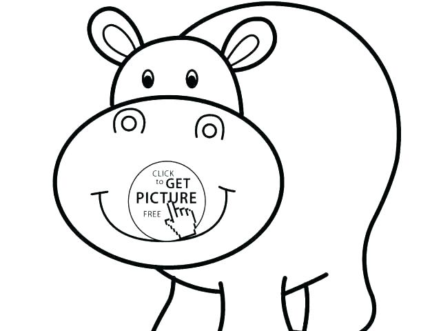 640x480 How To Draw Easy Animals