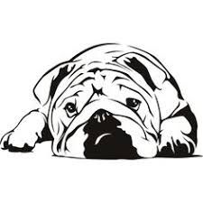 225x225 English Bulldog Clipart Drawing