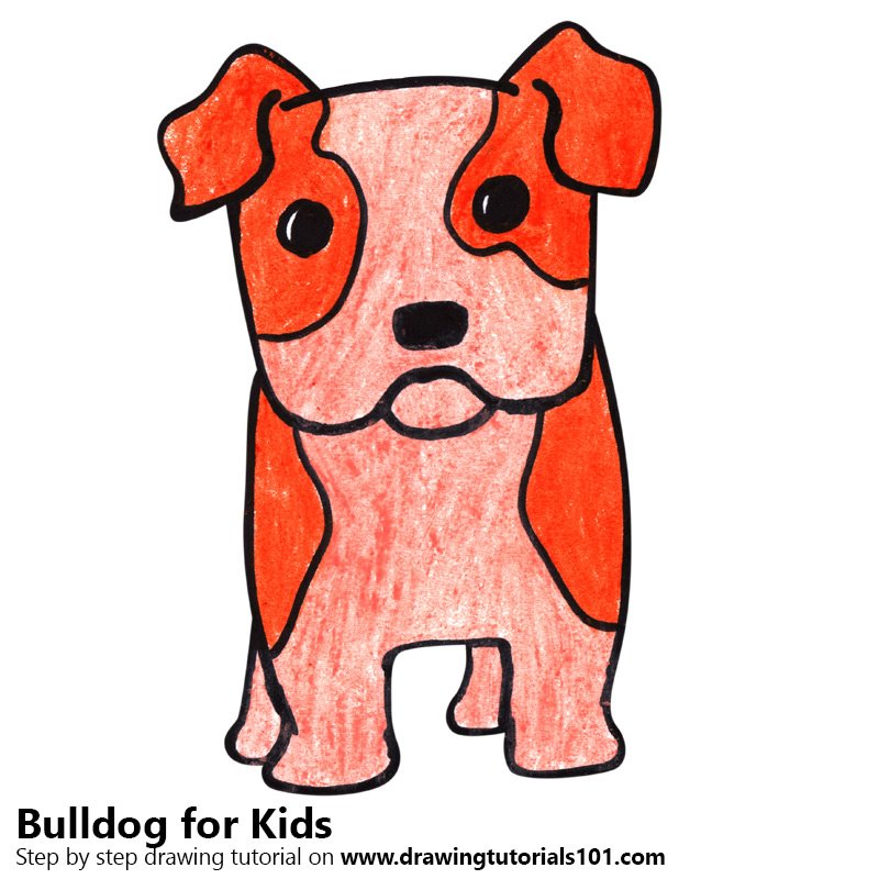 800x800 Learn How To Draw A Bulldog For Kids