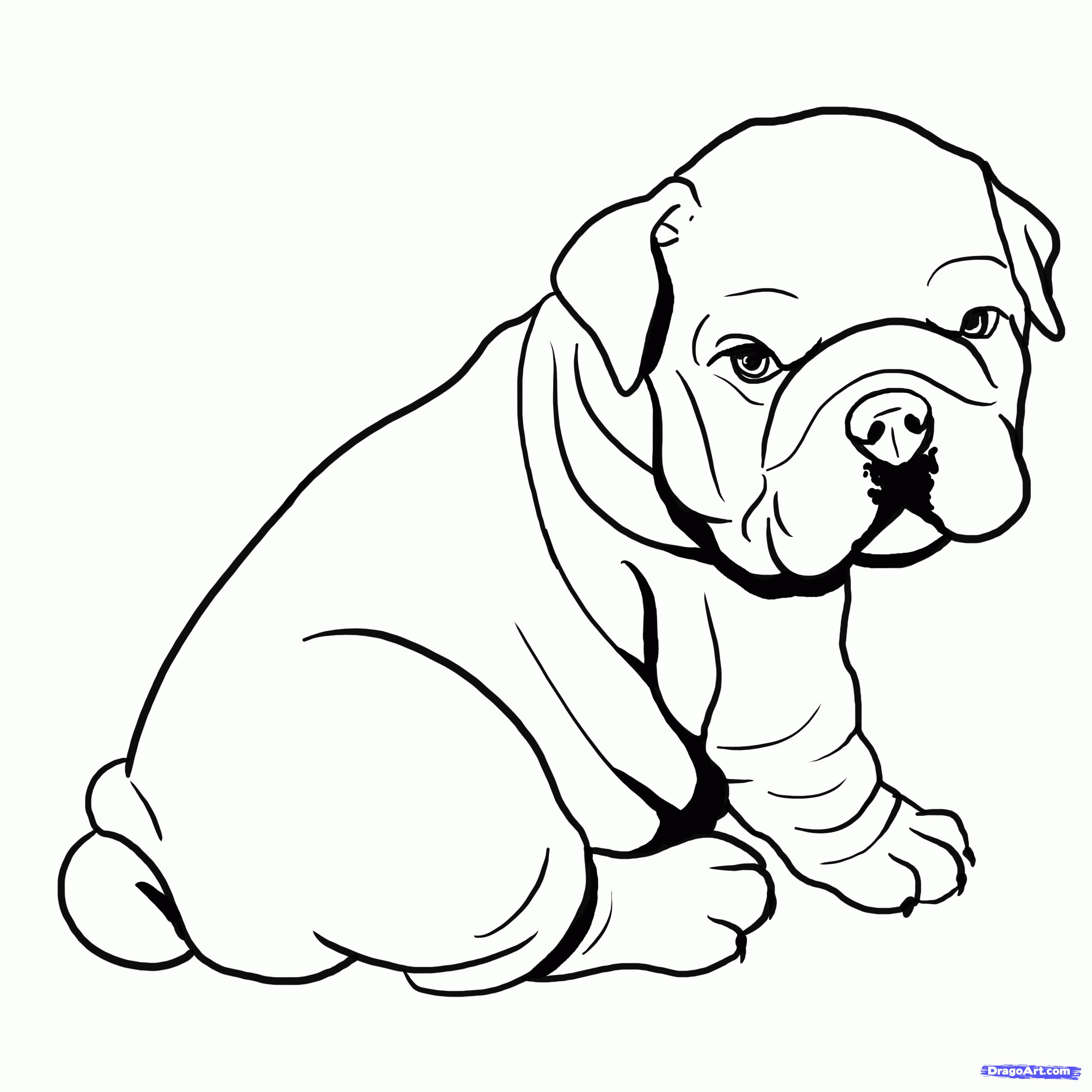 2550x2550 bulldog drawing valid how to draw a bulldog english bulldog step
