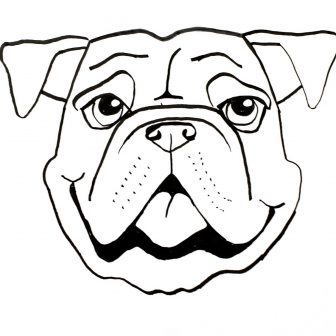336x336 Drawing Cartoon Dog Face Tutorial Step