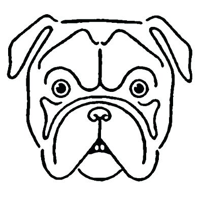 398x400 how to draw bulldog bulldog draw bulldog cartoon