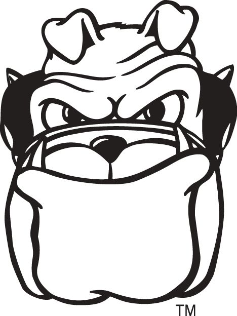 468x624 Bulldog Drawing Step