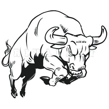361x361 Drawing Of A Bull Charging Bull Drawing Bulldog Drawing Outline