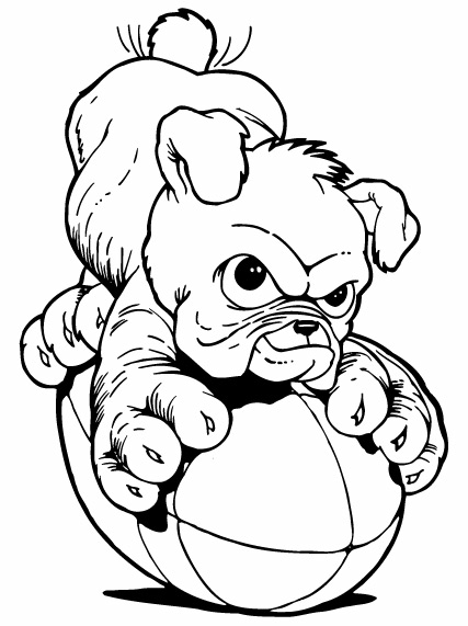 427x571 Bulldog Clipart Drawing