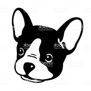 300x300 Dog Vector French Bulldog Face Logo Icon Head Character