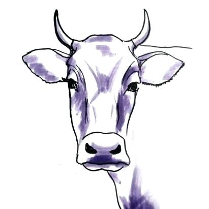 411x411 Drawing Of Bulls Step