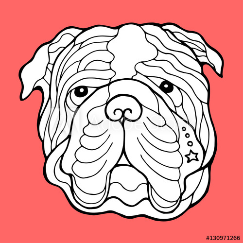 500x500 Bulldog Head Face, Hand Drawing Line, Zentangle Art, Vector