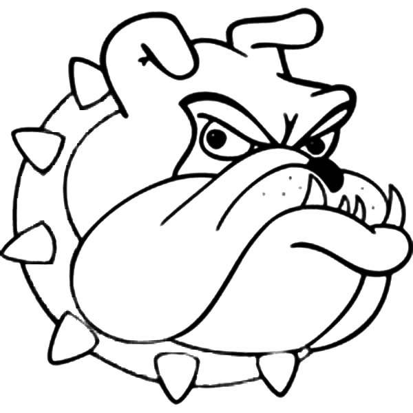 600x600 Bulldog Head Coloring Page