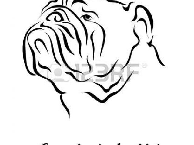 640x480 English Bulldog Clipart Head