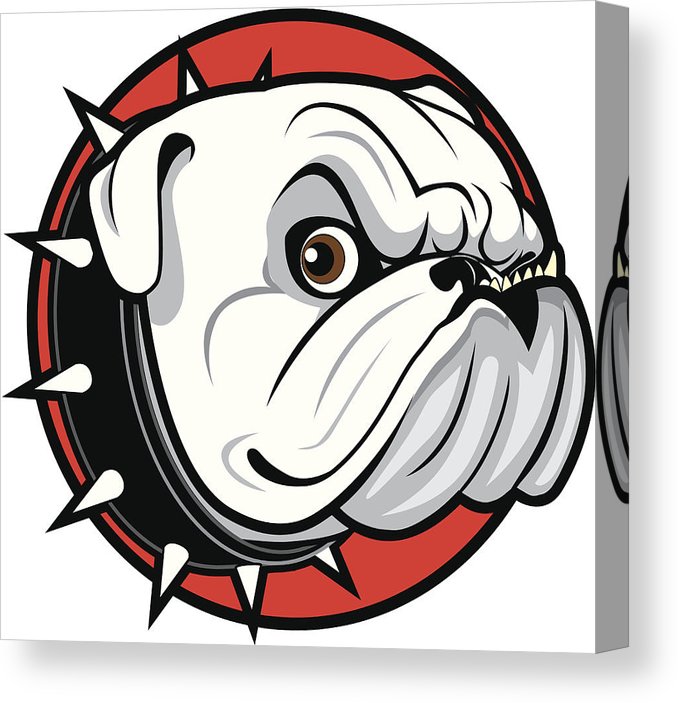678x703 bulldog head canvas print canvas art